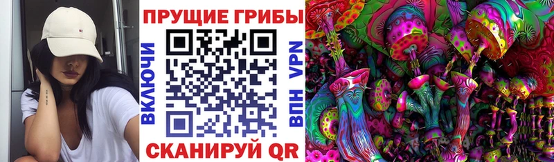 где найти наркотики  Снежинск  Псилоцибиновые грибы GOLDEN TEACHER 